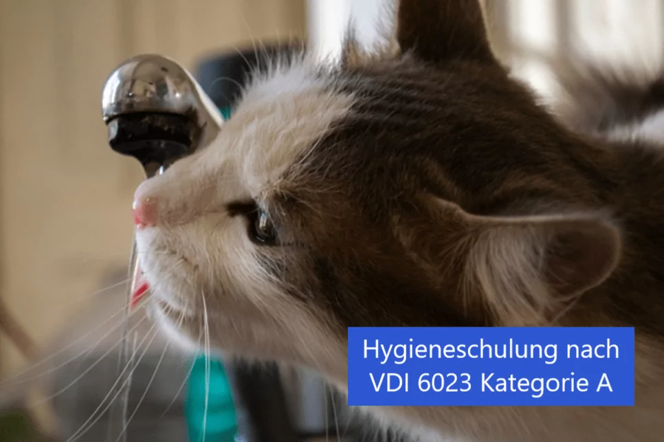Hygieneschulung nach VDI 6023 Kategorie A
